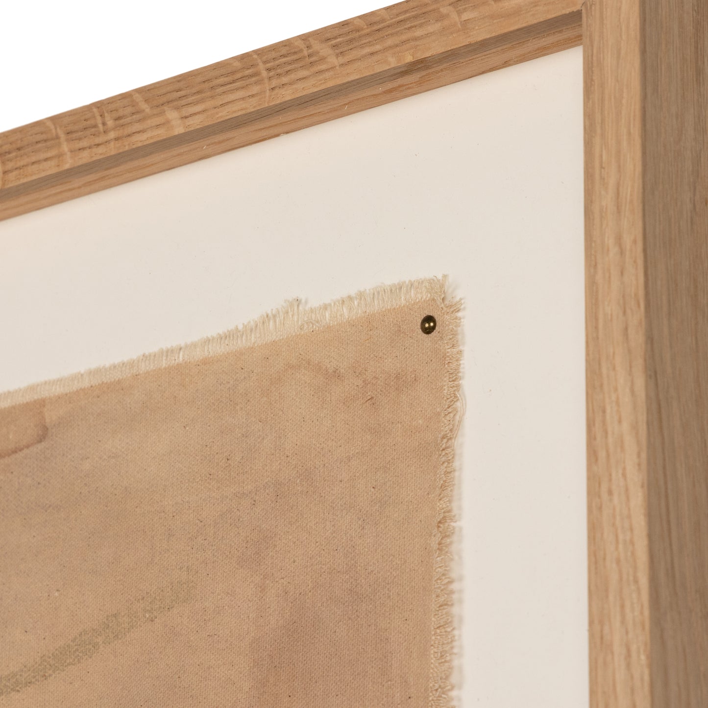 MUSHROOM FIELDS BY MOLLY SUPPLEE