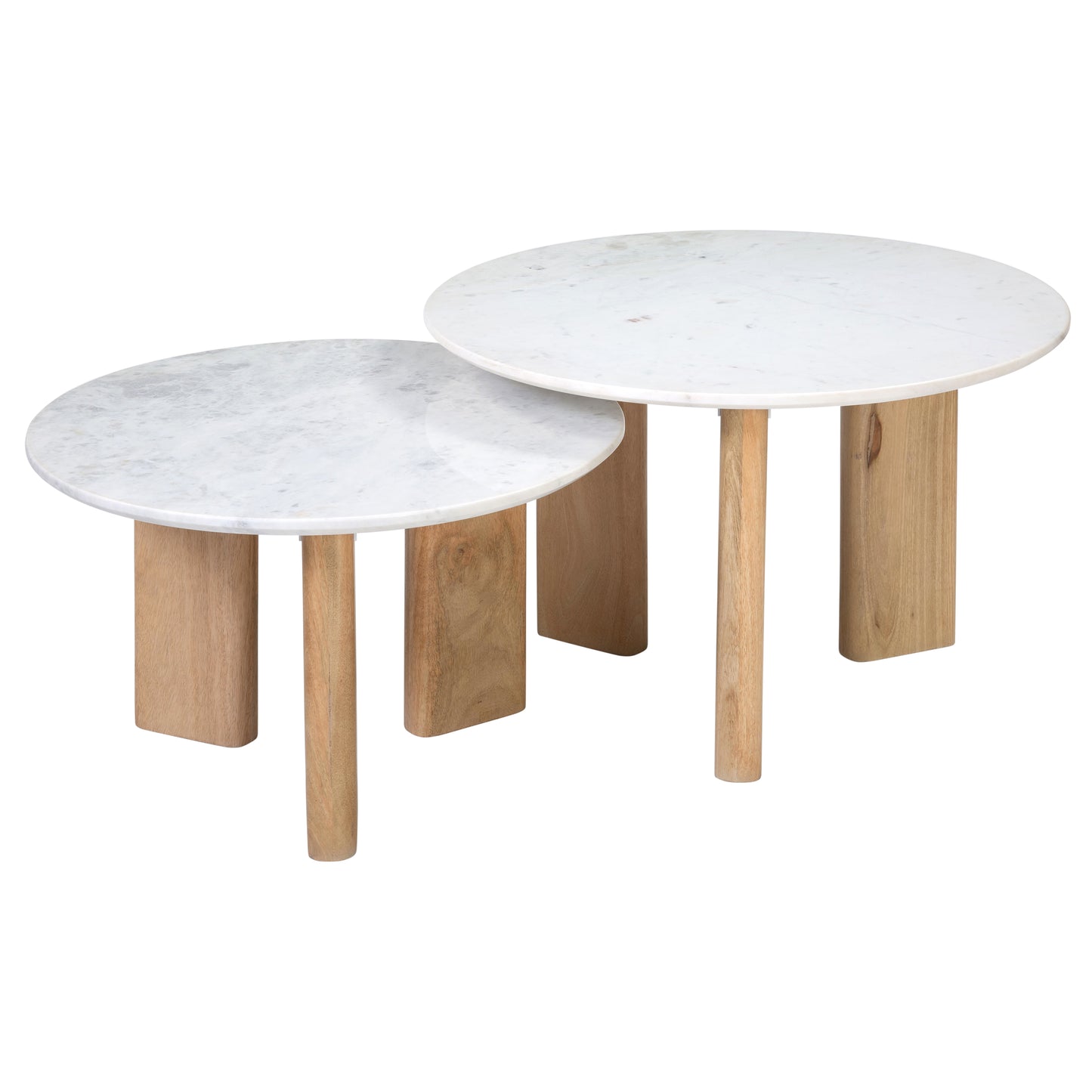 Caspian Coffee Table - Banswara Marble and Mango Wood - White Marble and Natural Wood Finish
