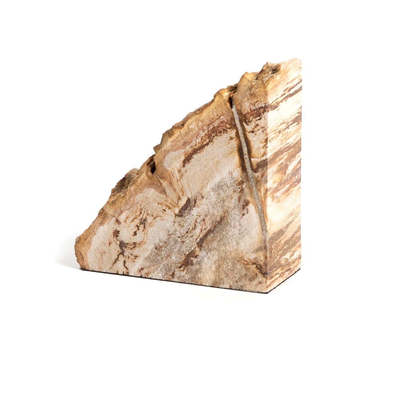 Petrified Wood Bookends