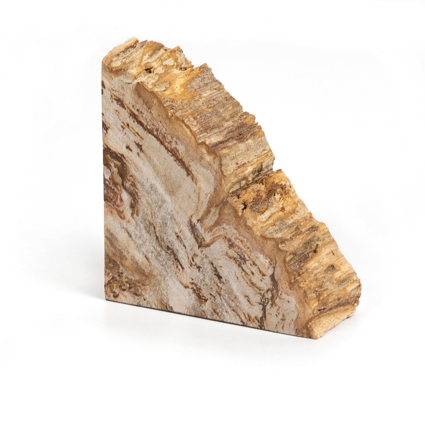 Petrified Wood Bookends
