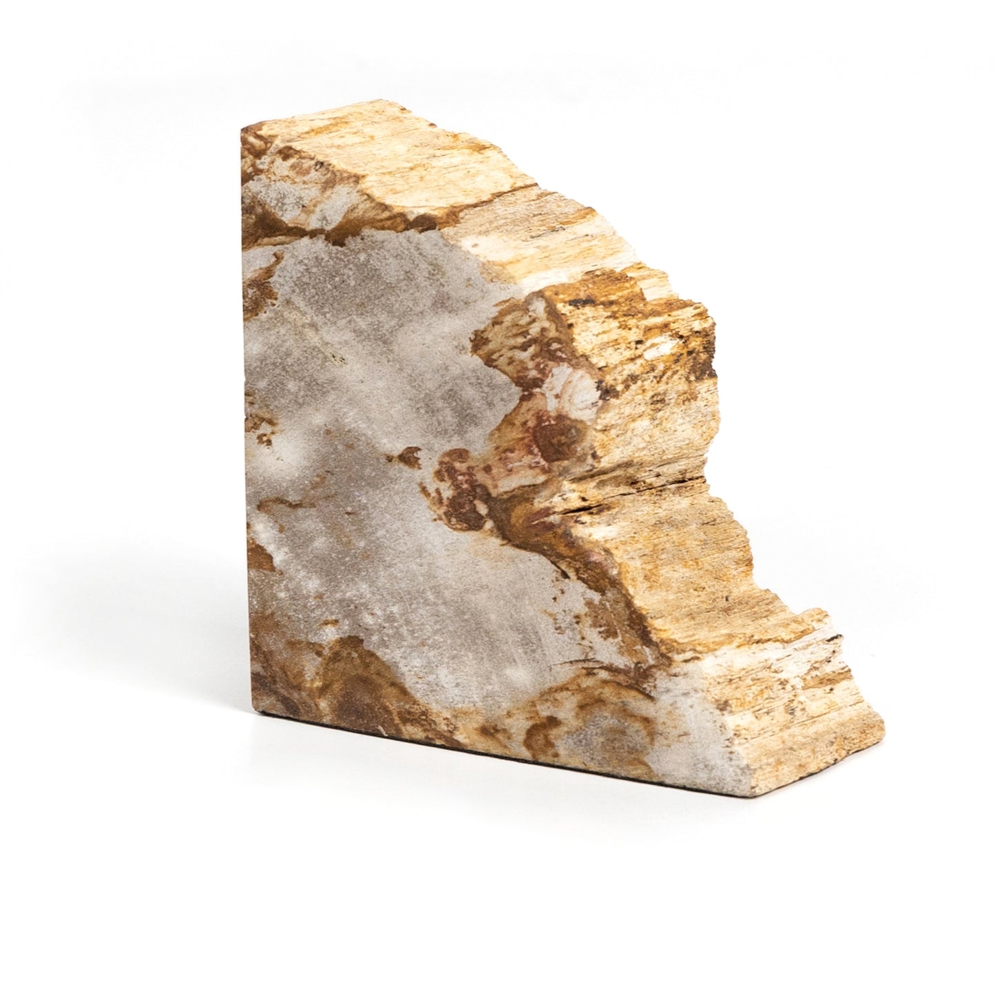 Petrified Wood Bookends